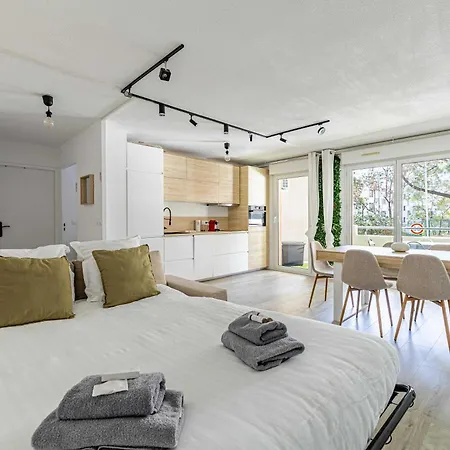 Comfort And Serenity With A C, Parking And Balcony Cannes